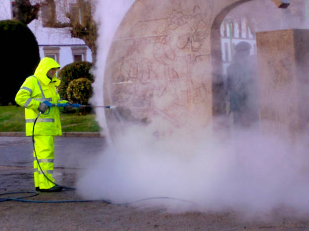 Best Roof Pressure Washing  in Manhasset, NY